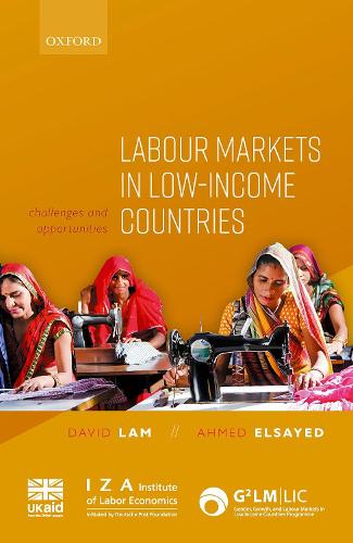Паперова книга «Labour Markets in Low-Income Countries: Challenges and Opportunities», авторів Ахмед Ель-Сайєд, Девід Лам - фото №1