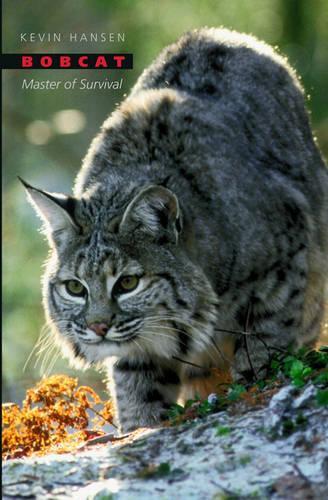 Бумажная книга «Bobcat: Master of Survival», автор Кевин Хансен - фото №1
