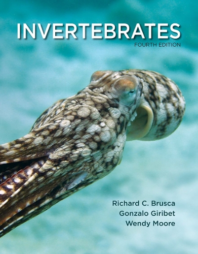 Паперова книга «Invertebrates», авторів Гонсало Гірібет, Венді Мур - фото №1