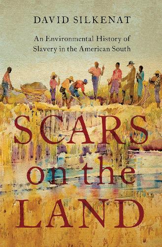 Бумажная книга «Scars on the Land: An Environmental History of Slavery in the American South», автор Давид Силкенат - фото №1