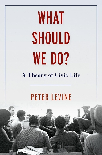 Паперова книга «What Should We Do?: A Theory of Civic Life», автор Пітер Левін - фото №1