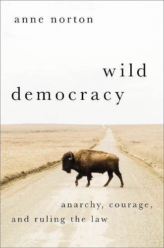 Паперова книга «Wild Democracy: Anarchy, Courage, and Ruling the Law», автор Енн Нортон - фото №1
