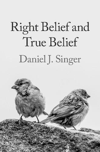 Бумажная книга «Right Belief and True Belief», автор Дэниел Дж. Сингер - фото №1