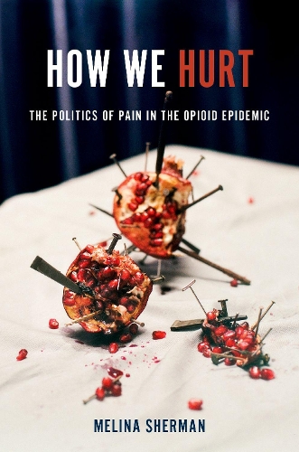 Бумажная книга «How We Hurt: The Politics of Pain in the Opioid Epidemic», автор Мелина Шерман - фото №1