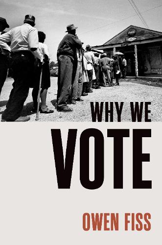 Паперова книга «Why We Vote», автор Оуен Фісс - фото №1