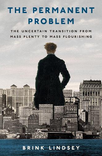 Бумажная книга «The Permanent Problem: The Uncertain Transition from Mass Plenty to Mass Flourishing», автор Бринк Линдси - фото №1