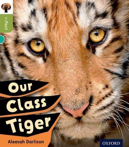 Бумажная книга «Oxford Reading Tree inFact: Level 7: Our Class Tiger», автор Алесса Дарлисон - фото №1