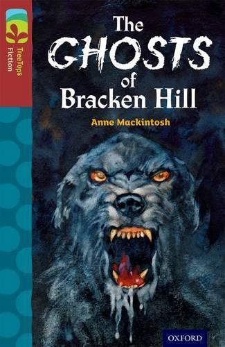 Бумажная книга «Oxford Reading Tree TreeTops Fiction: Level 15: The Ghosts of Bracken Hill», автор Энн Макинтош - фото №1