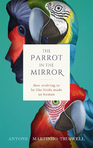 [object Object] «The Parrot in the Mirror: How evolving to be like birds made us human», автор Антоне Мартиньо-Трусвелл - фото №1