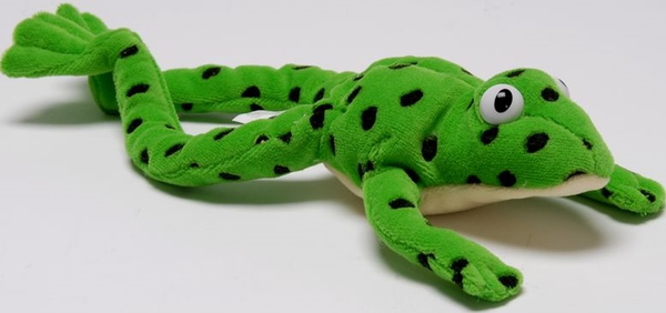 Бумажная книга «Read Write Inc.: Fred the Frog - Toy Pack of 10», автор Рут Мискин - фото №1