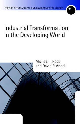 Бумажная книга «Industrial Transformation in the Developing World», автор Дэвид П. Энджел - фото №1