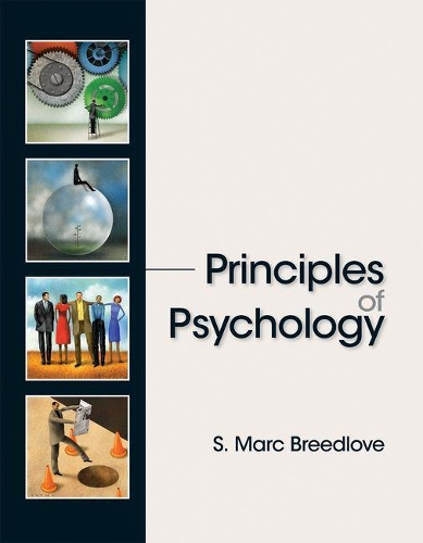 Бумажная книга «Principles of Psychology», автор Марк Бридлав - фото №1