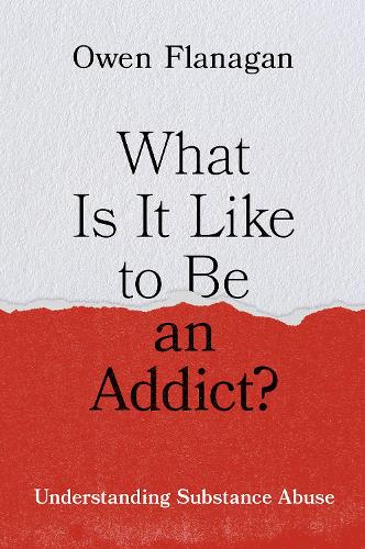 Паперова книга «What Is It Like to Be an Addict?: Understanding Substance Abuse», автор Оуен Фланаган - фото №1