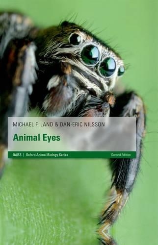 Паперова книга «Animal Eyes», автор Дан-Ерік Нільссон - фото №1