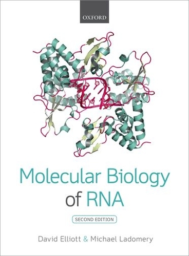 Бумажная книга «Molecular Biology of RNA», автор Дэвид Эллиот - фото №1