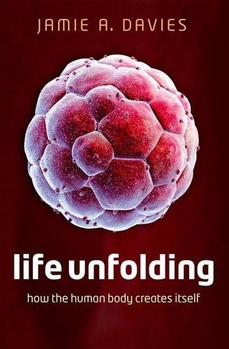 Бумажная книга «Life Unfolding: How the human body creates itself», автор Джейми А. Дэвис - фото №1