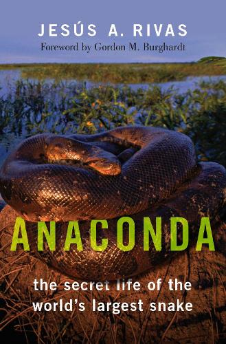 Паперова книга «Anaconda: The Secret Life of the World's Largest Snake», автор Хесус А. Рівас - фото №1