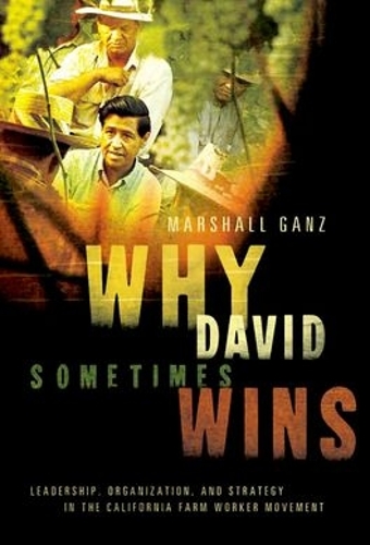 Бумажная книга «Why David Sometimes Wins: Leadership, Organization, and Strategy in the California Farm Worker Movement», автор Маршал Ганц - фото №1