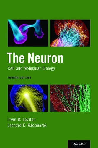Паперова книга «The Neuron: Cell and Molecular Biology», авторів Ірвін Б. Левітан, Леонард К. Качмарек - фото №1