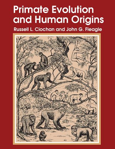 Бумажная книга «Primate Evolution and Human Origins», автор Рассел Л. Чиошон - фото №1