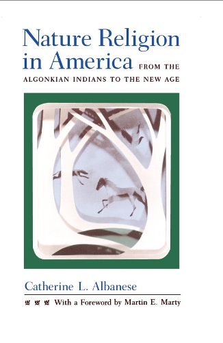 Бумажная книга «Nature Religion in America: From the Algonkian Indians to the New Age», автор Кэтрин Л. Альбанезе - фото №1