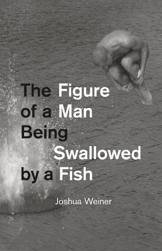 Бумажная книга «The Figure of a Man Being Swallowed by a Fish», автор Джошуа Вайнер - фото №1