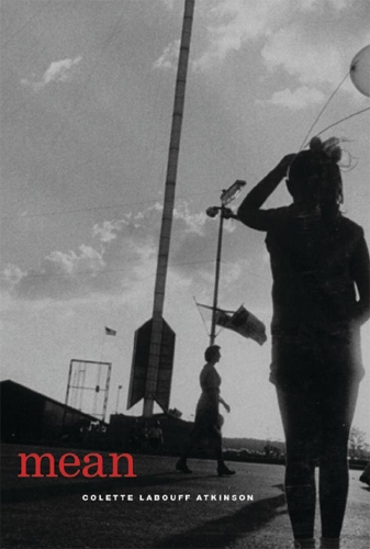 Паперова книга «Mean», автор Колетт ЛаБуфф Аткінсон - фото №1