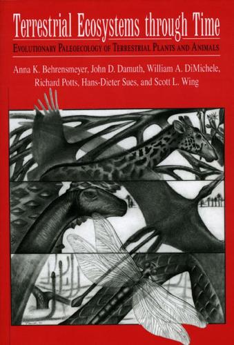 Бумажная книга «Terrestrial Ecosystems Through Time: Evolutionary Paleoecology of Terrestrial Plants and Animals», авторов Анна К. Беренсмейер, Джон Д. Дамут, Ричард Поттс, Уильям А. Ди Микеле - фото №1