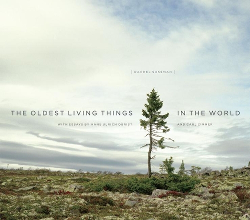 Бумажная книга «The Oldest Living Things in the World», автор Рэйчел Сассман - фото №1