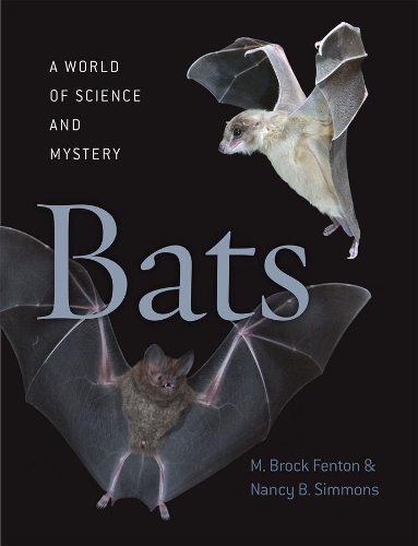 Бумажная книга «Bats: A World of Science and Mystery», авторов M. Брок Фентон, Нэнси Б. Симмонс - фото №1