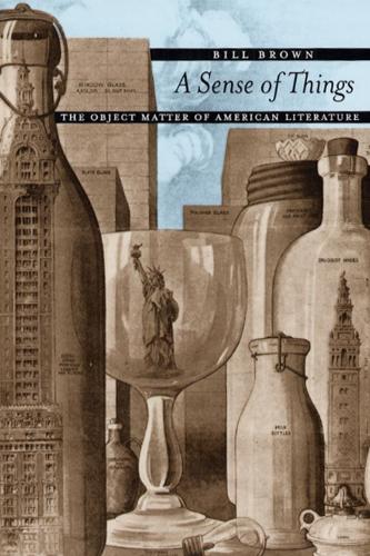 Бумажная книга «A Sense of Things: The Object Matter of American Literature», автор Билл Браун - фото №1