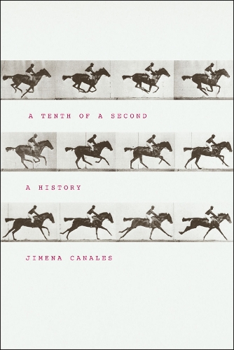 Паперова книга «A Tenth of a Second: A History», автор Хімена Каналес - фото №1