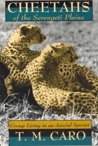 Бумажная книга «Cheetahs of the Serengeti Plains: Group Living in an Asocial Species», автор Тим Каро - фото №1