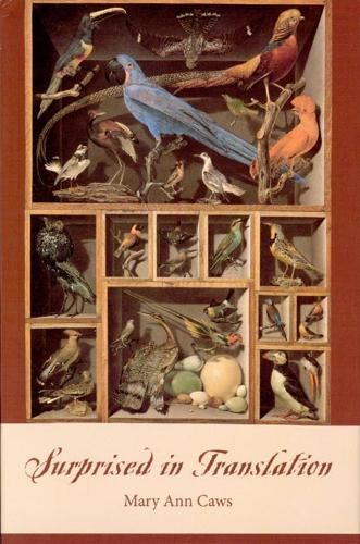 Паперова книга «Surprised in Translation», автор Мері Енн Коус - фото №1