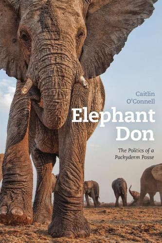 Бумажная книга «Elephant Don: The Politics of a Pachyderm Posse», автор Кейтлин О'Коннелл - фото №1