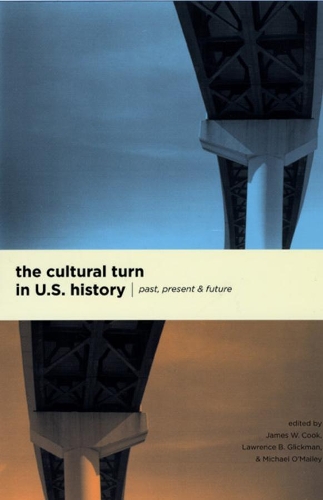 Паперова книга «The Cultural Turn in U. S. History: Past, Present, and Future», автор Джеймс В. Кук - фото №1