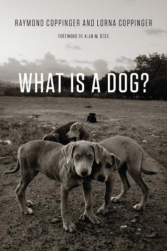 Бумажная книга «What Is a Dog?», авторов Лорна Коппингер, Раймонд Коппингер - фото №1