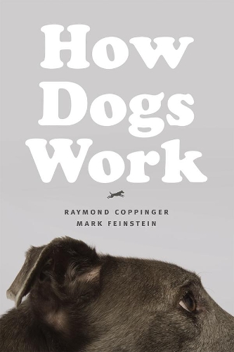 Паперова книга «How Dogs Work», авторів Марк Файнштайн, Реймонд Коппінгер - фото №1