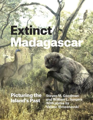 Бумажная книга «Extinct Madagascar: Picturing the Island's Past», авторов Стивен М. Гудман, Уильям Л. Юнгерс - фото №1