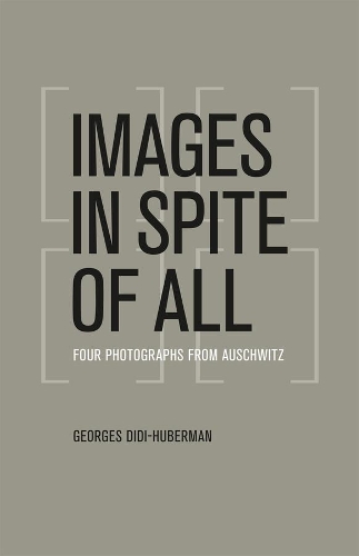 Бумажная книга «Images in Spite of All: Four Photographs from Auschwitz», автор Жорж Диди-Губерман - фото №1