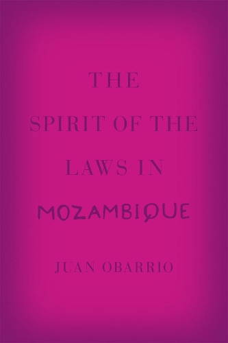 Бумажная книга «The Spirit of the Laws in Mozambique», автор Хуан Обаррио - фото №1