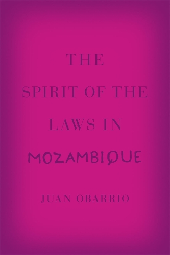 Паперова книга «The Spirit of the Laws in Mozambique», автор Хуан Обарріо - фото №1