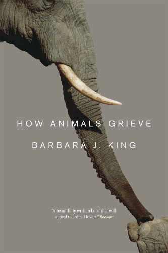 Паперова книга «How Animals Grieve», автор Барбара Дж. Кінг - фото №1
