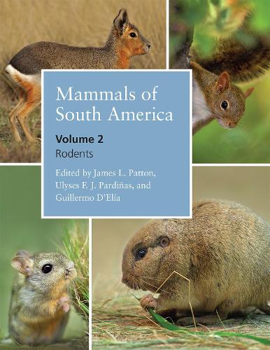 Паперова книга «Mammals of South America, Volume 2: Rodents», автор Джеймс Л. Паттон - фото №1