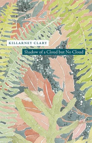 Бумажная книга «Shadow of a Cloud but No Cloud», автор Килларни Клэри - фото №1