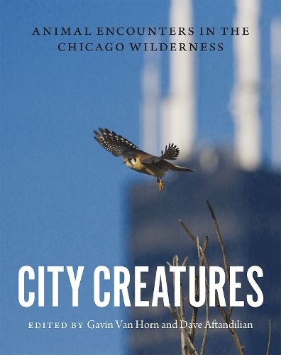 Бумажная книга «City Creatures: Animal Encounters in the Chicago Wilderness», автор Гэвин Ван Хорн - фото №1
