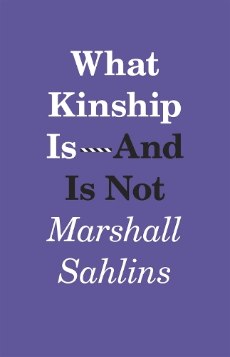 Паперова книга «What Kinship Is-And Is Not», автор Маршалл Салінз - фото №1