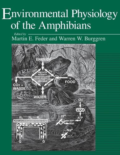 Бумажная книга «Environmental Physiology of the Amphibians», автор Мартин Э. Федер - фото №1