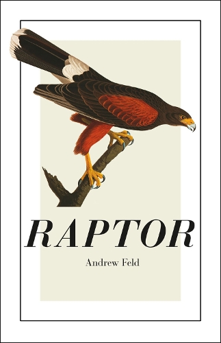 Бумажная книга «Raptor», автор Эндрю Фельд - фото №1