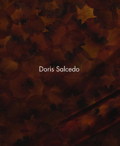Бумажная книга «Doris Salcedo», автор Джули Родригес Видхольм - фото №1